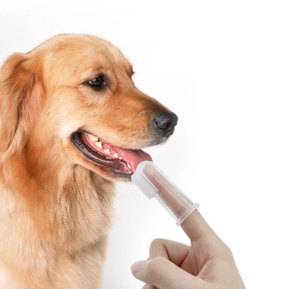 Pet Supplies Usa - Super Soft Pet Finger Toothbrush Teddy