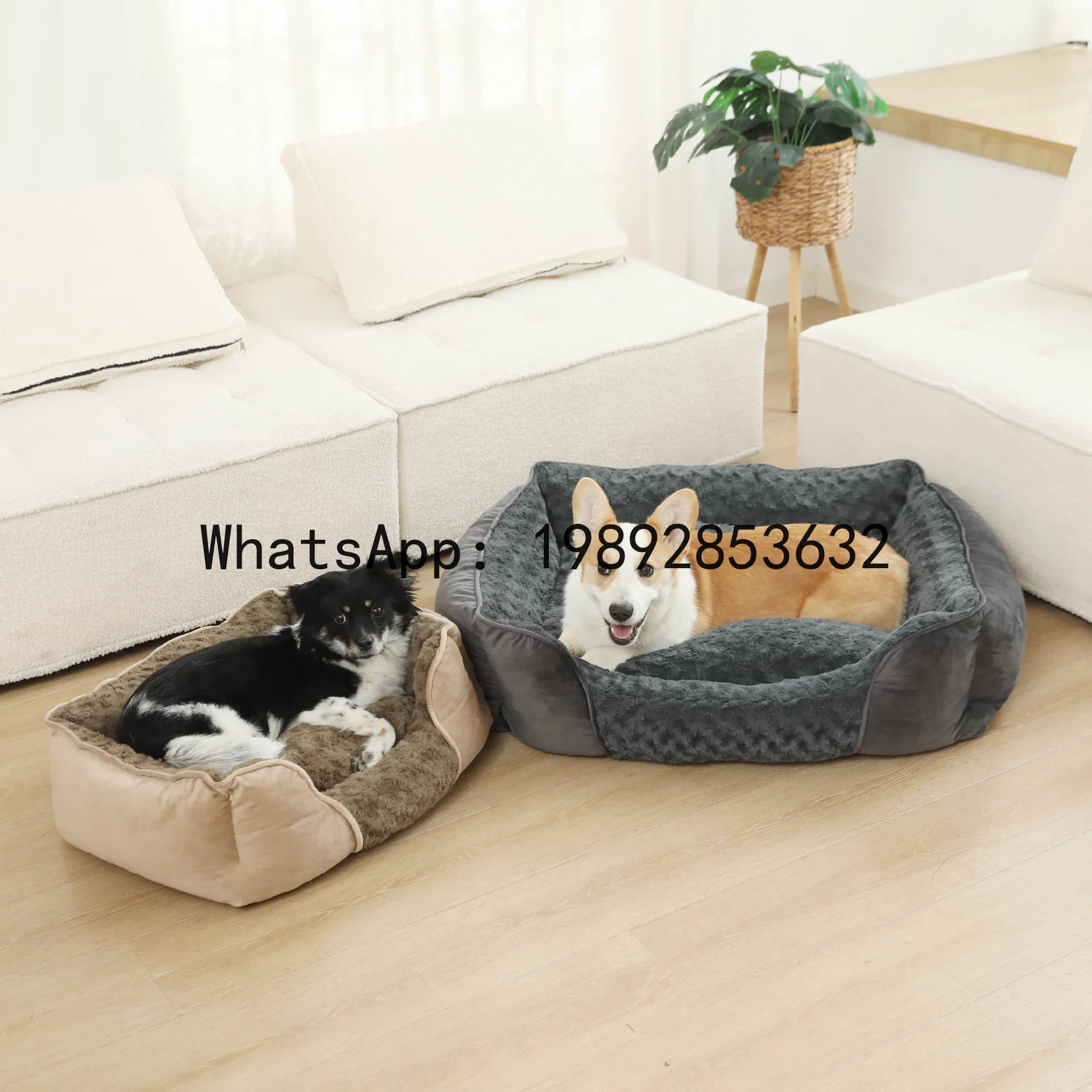 Pet X Supplies & Tack Photos - X cat house semi-enclosed dog kennel