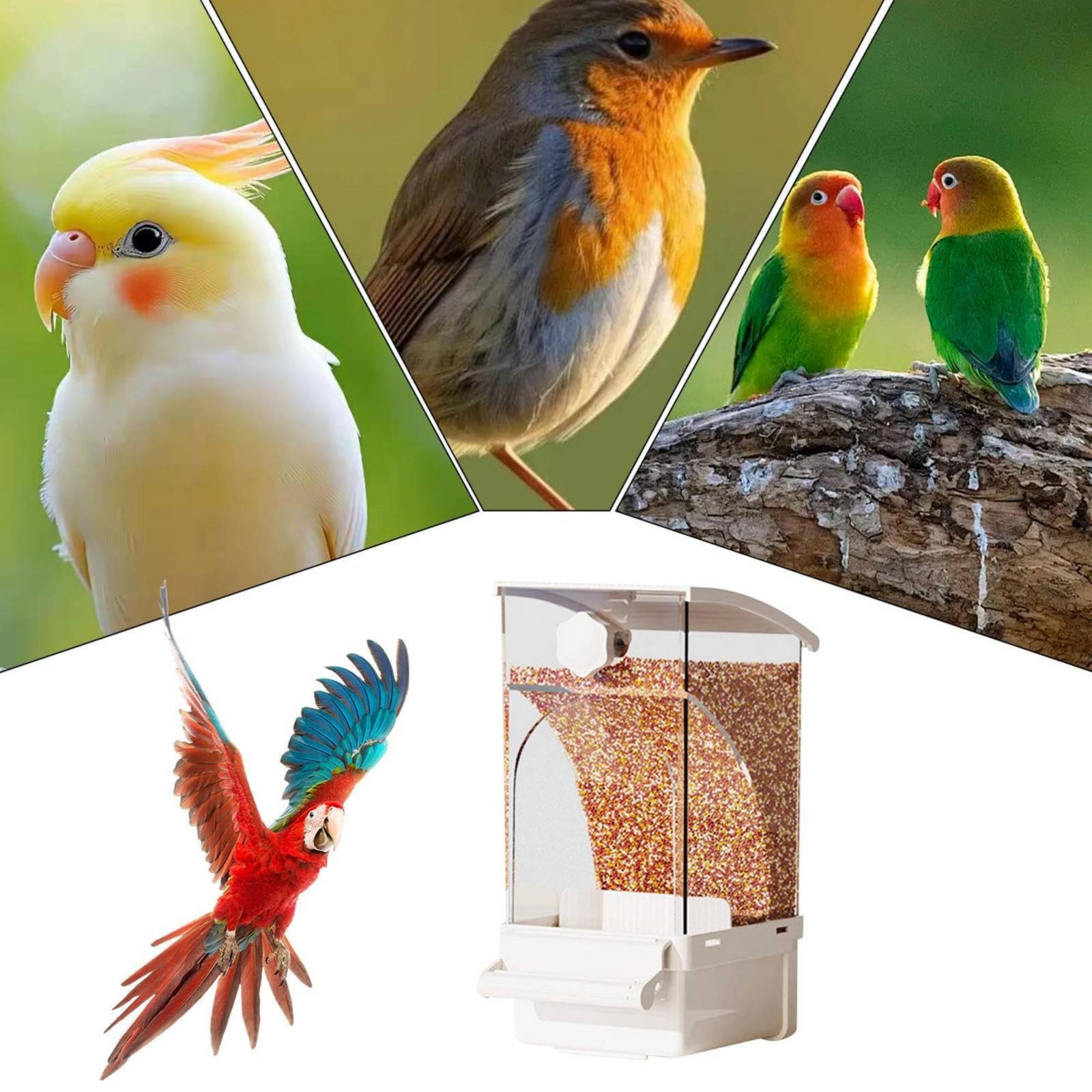 Pet Supplies Usa - Automatic Avian Feeder Husk Separating No-Mess