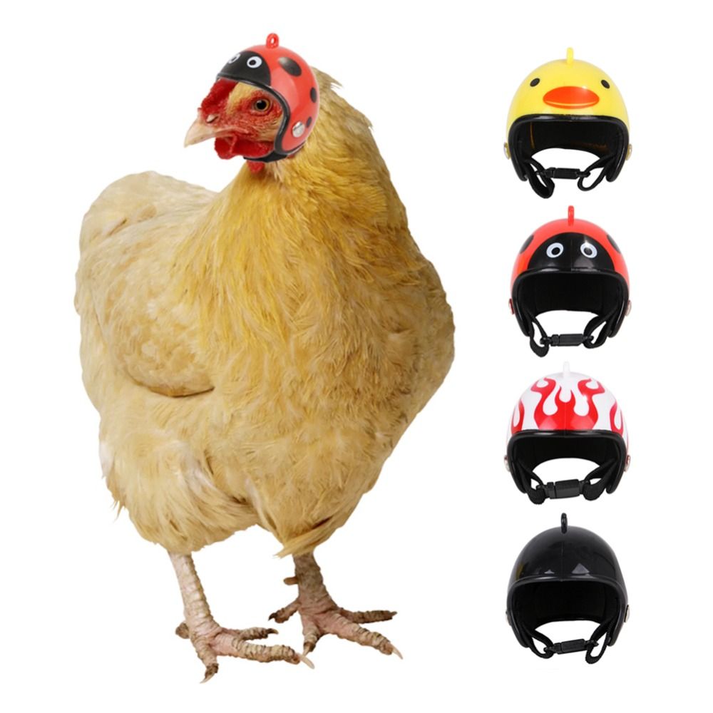 Pet X Supplies & Tack Photos - ABS Pet Supplies Funny Pet Protective