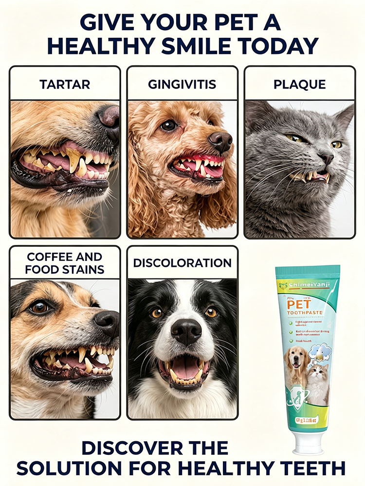 POZOAMIS Pet Teeth Cleaning To - огляд і ціна Pet Supplies Young