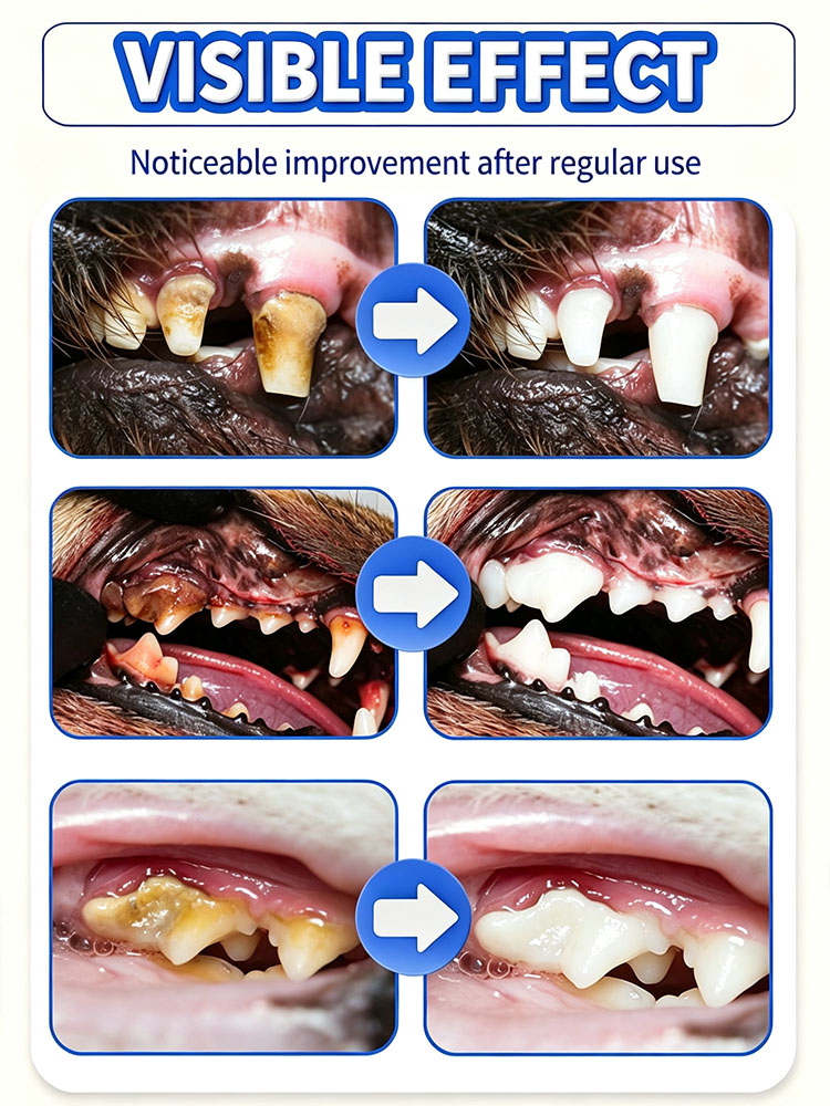 POZOAMIS Pet Teeth Cleaning To - огляд і ціна Pet Supplies Young