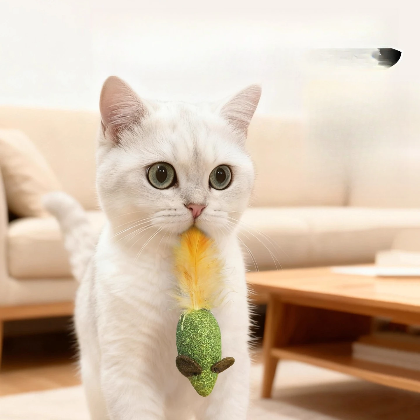 Toy Set Interactive Teaser Rod - огляд і ціна Pet Supplies Young