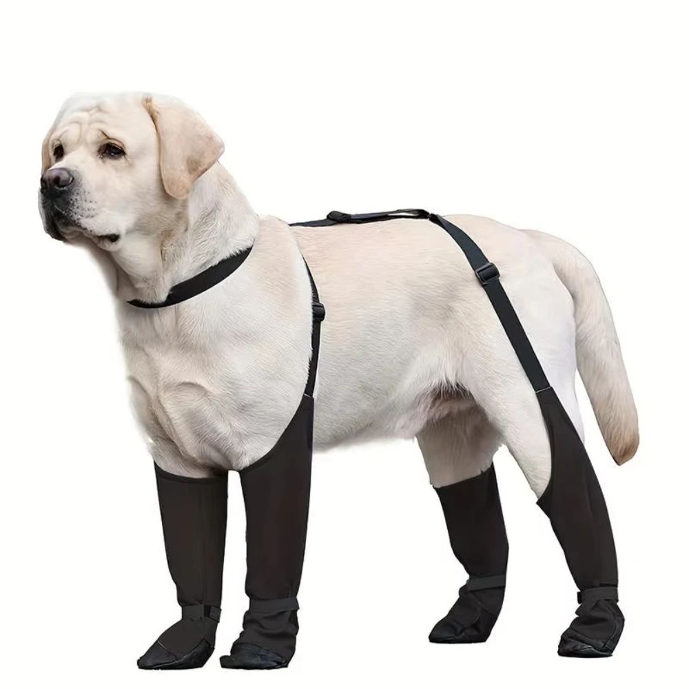 Anti-fall Waterproof Dog Shoes - огляд і ціна Dog Booties Paw Protector