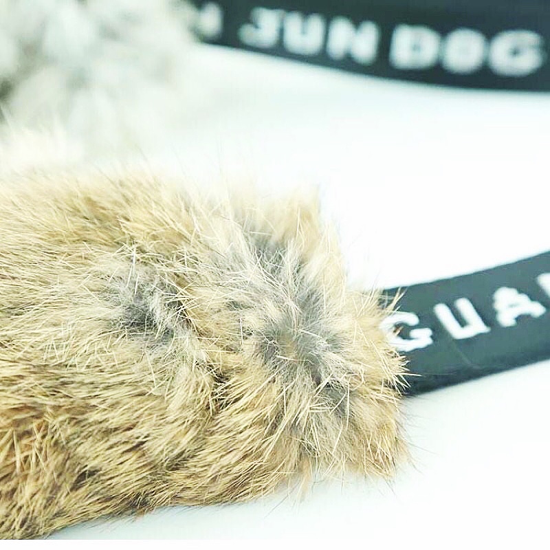 High-Quality Rabbit Skin Dog B - огляд і ціна Pet Supplies Young