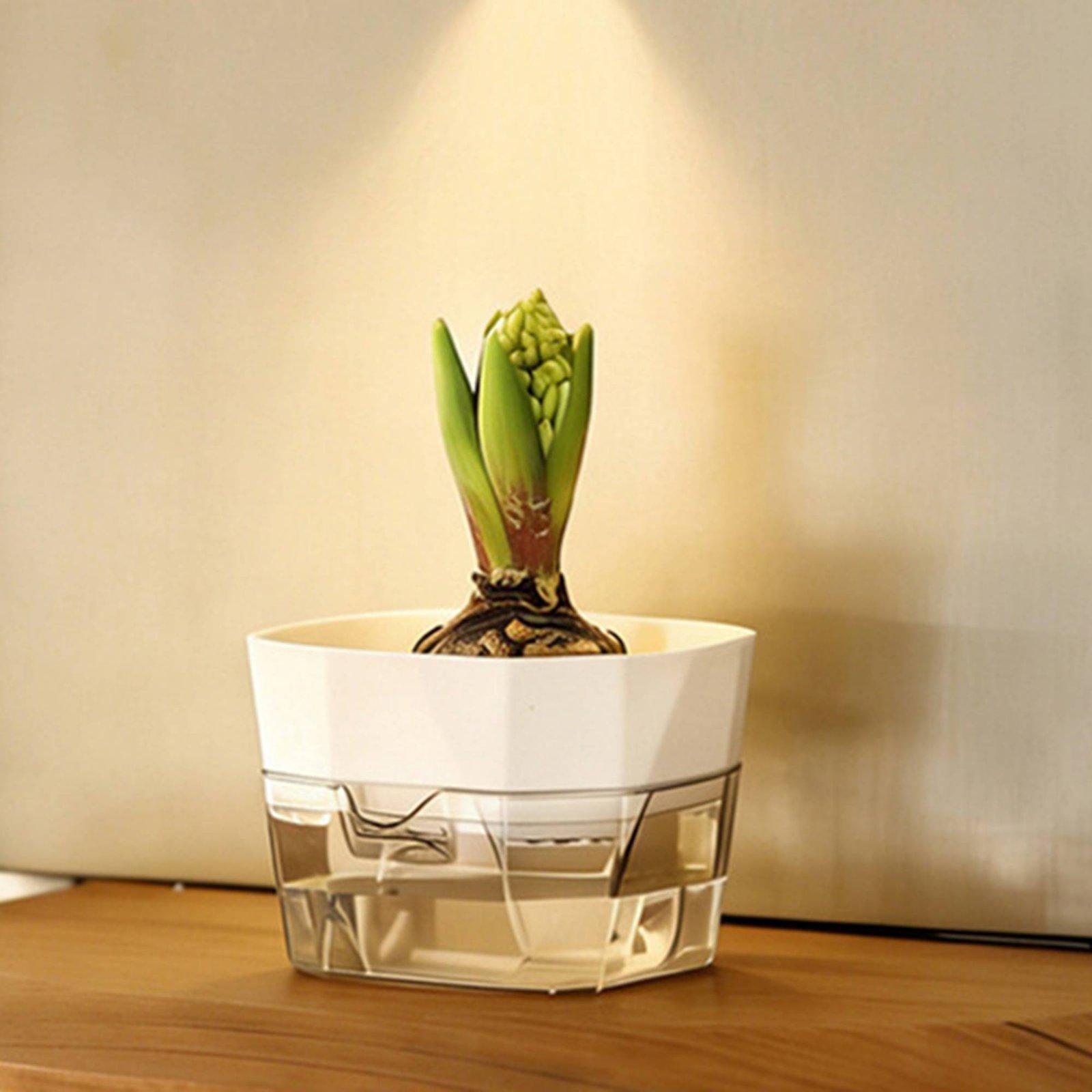 Hydroponic Vase Two Layer Self - огляд і ціна Pet Supplies Usa