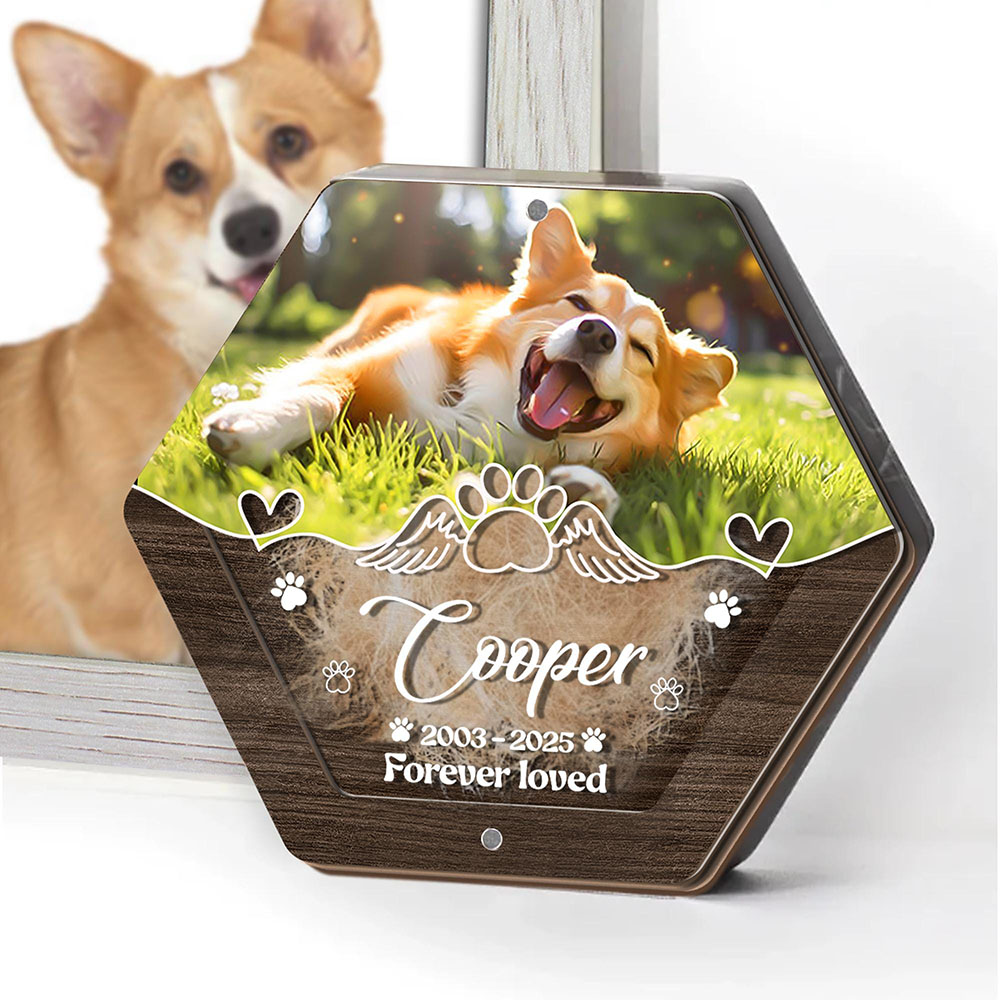 Personalized Name Wooden Carvi - огляд і ціна Pet Supplies Store
