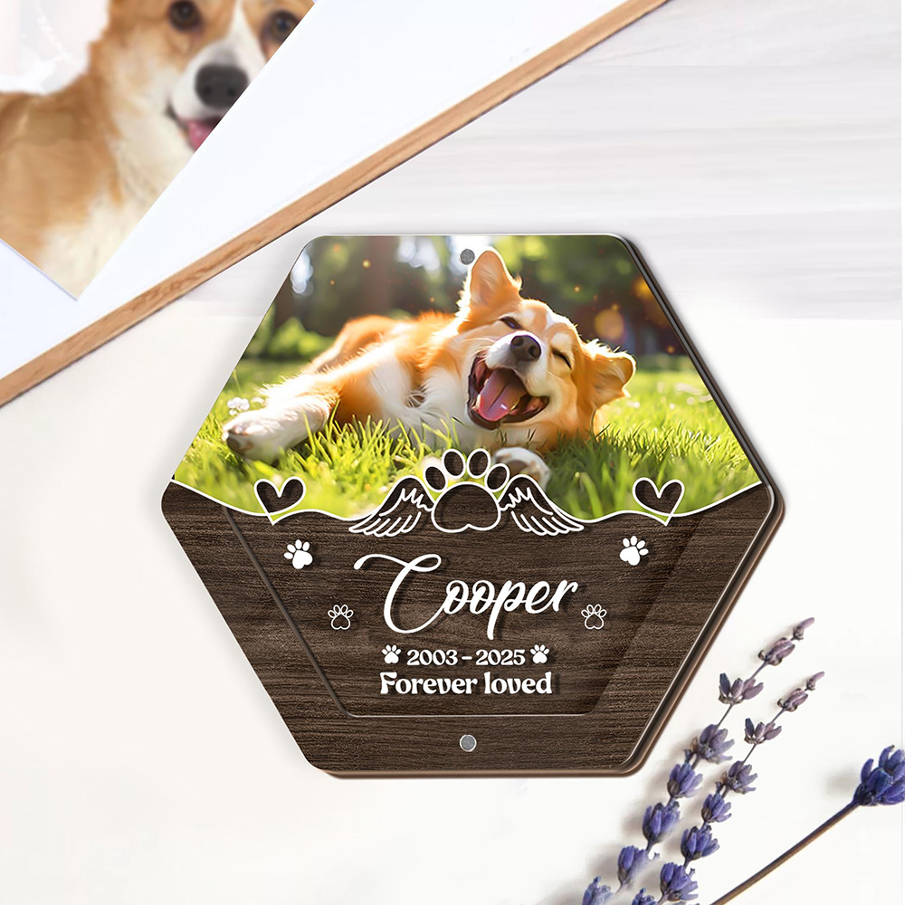 Personalized Name Wooden Carvi - огляд і ціна Pet Supplies Store