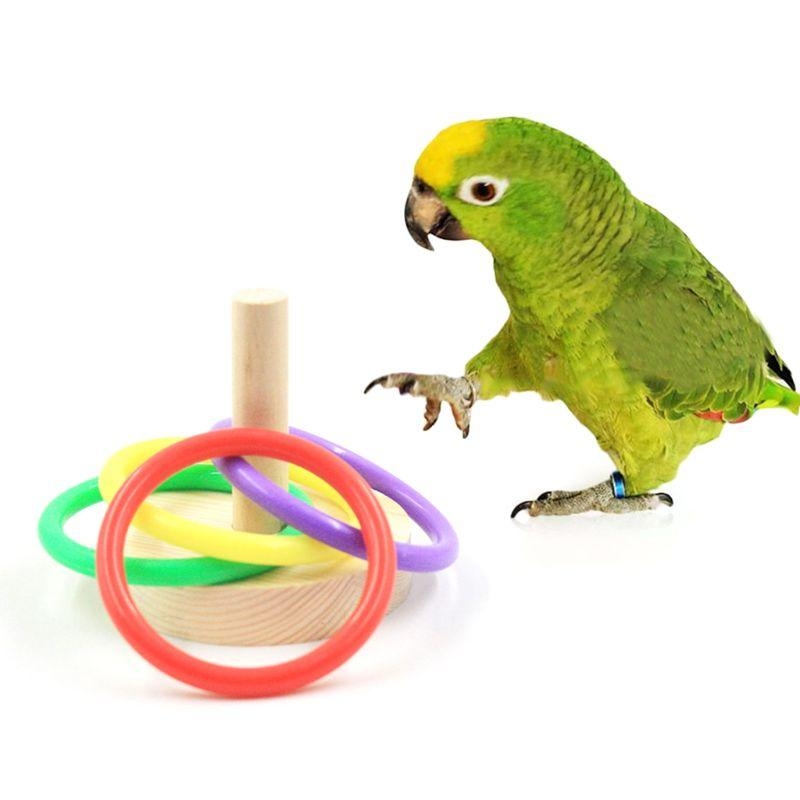 Bird Parrot Wooden Platform Pl - огляд і ціна Pet Supplies Ringwood