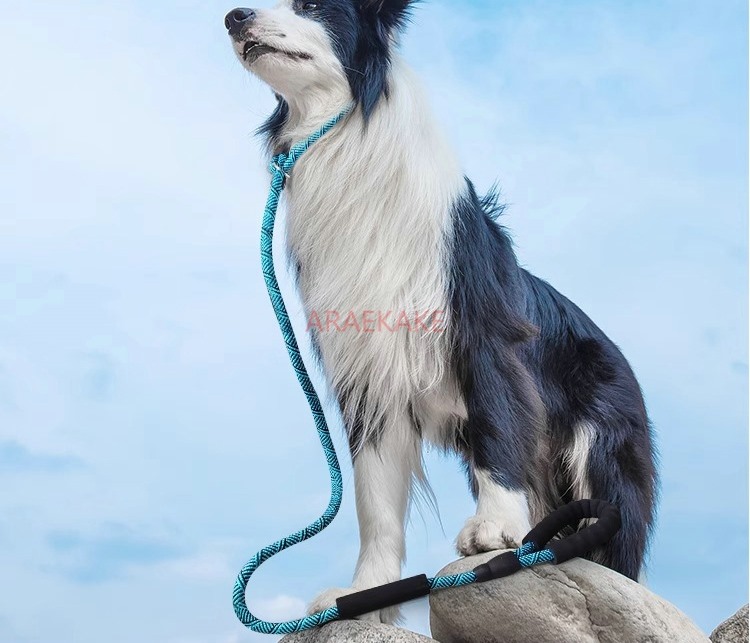 P rope explosion-proof walking - огляд і ціна Pet Supplies Young