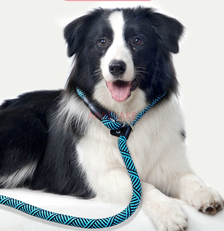 P rope explosion-proof walking - огляд і ціна Pet Supplies Young