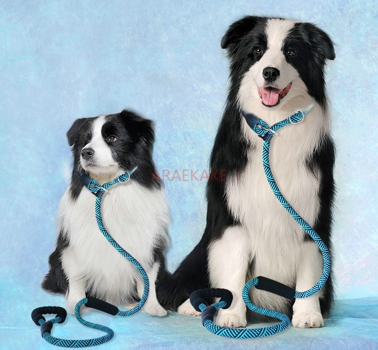 P rope explosion-proof walking - огляд і ціна Pet Supplies Young