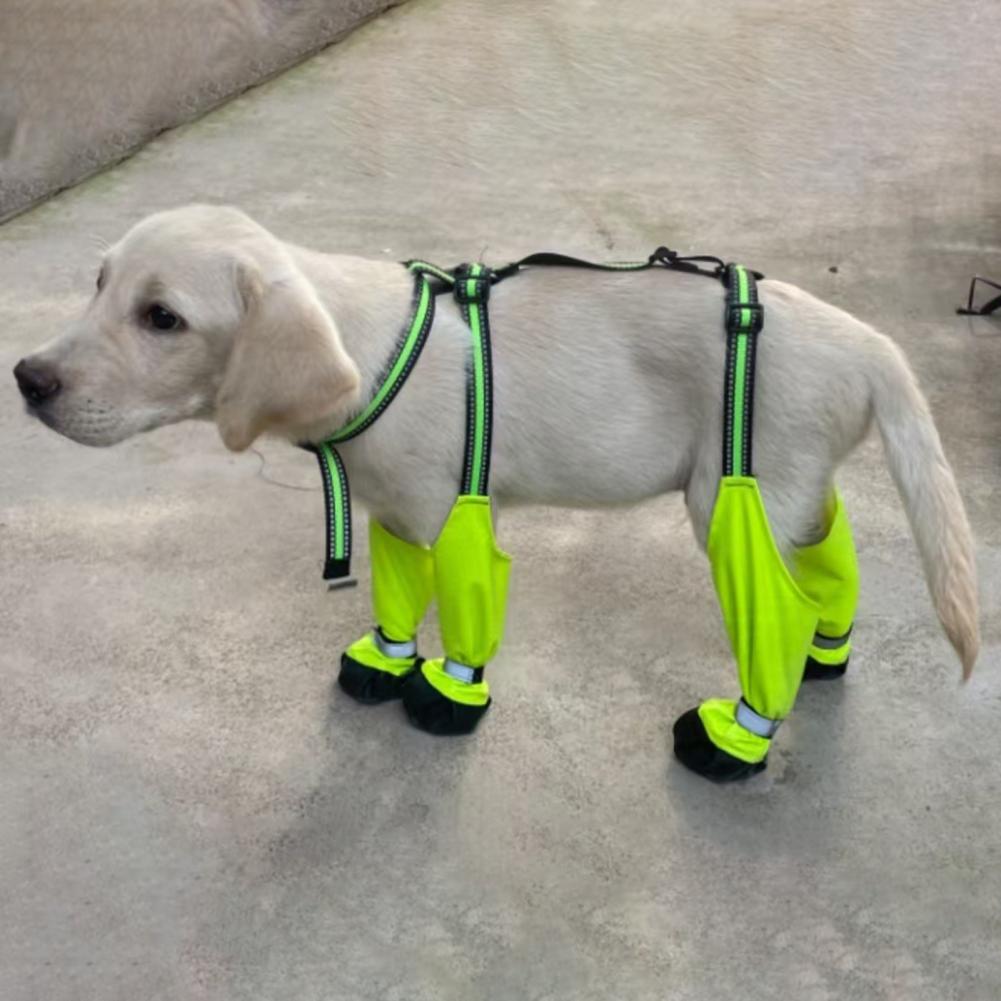Dog Suspender Booties Anti-Sli - огляд і ціна Dog Booties Paw Protector