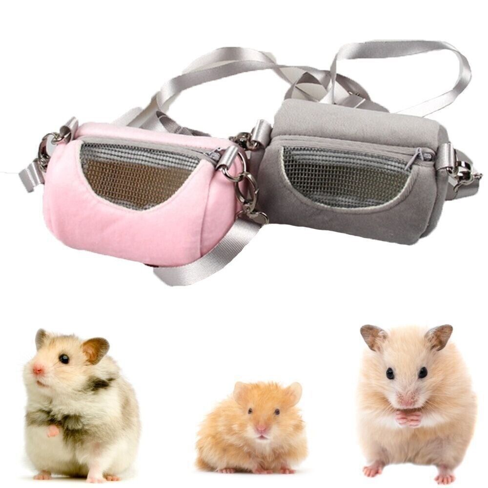 Small Pet Supplies Shoulder St - огляд і ціна Pet Supplies Stores
