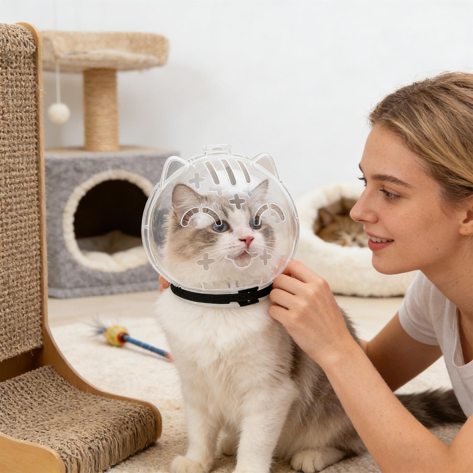 Breathable Cat Muzzle Transpar - огляд і ціна Pet Supplies Young