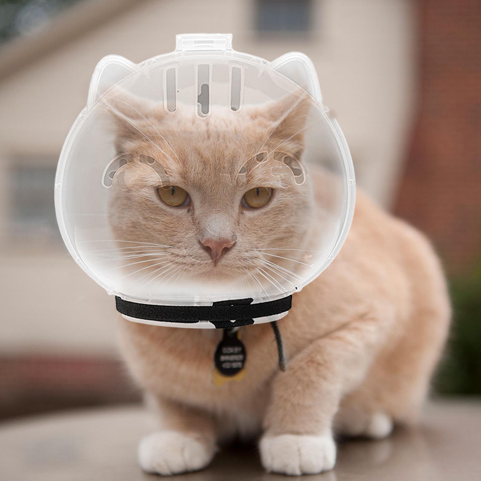 Breathable Cat Muzzle Transpar - огляд і ціна Pet Supplies Young