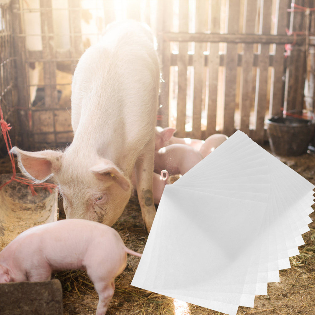 200Pcs Pig Filter Paper Non-Wo - огляд і ціна Pet Supplies Usa