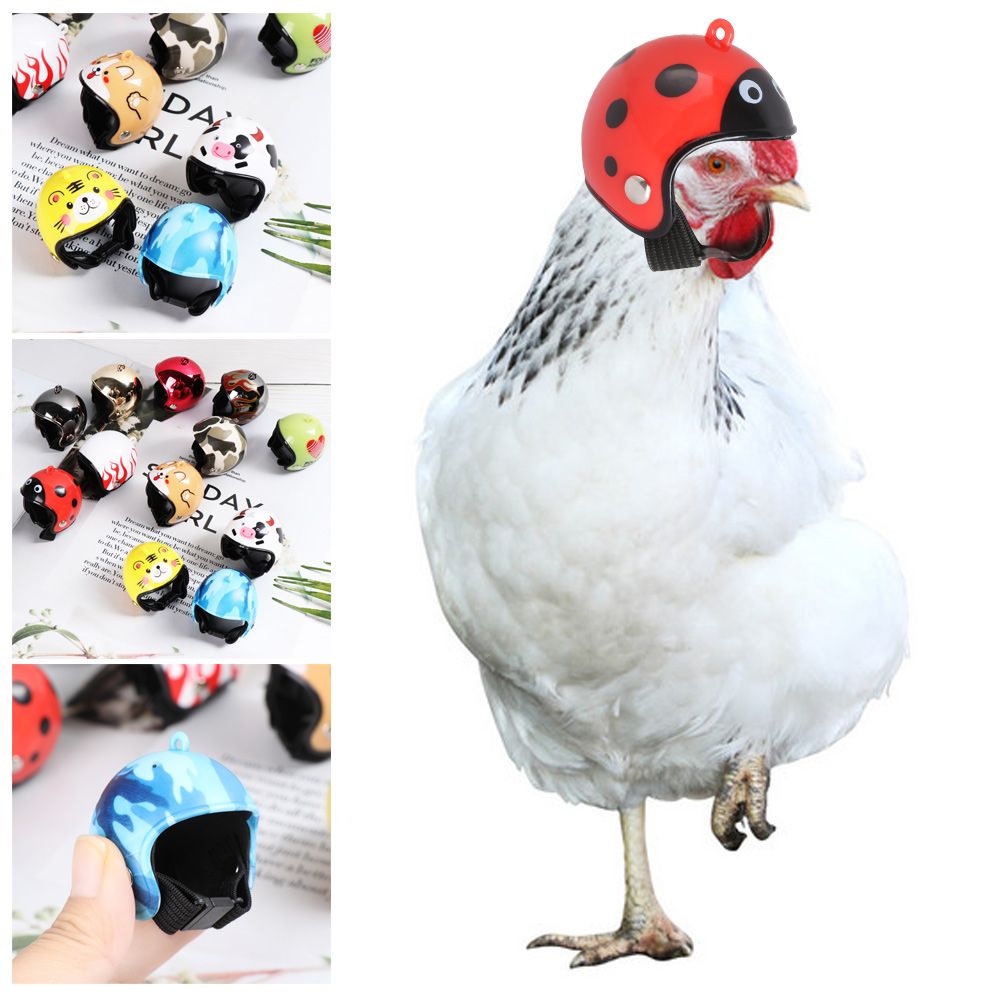 ABS Funny Pet Supplies Pet Pro - огляд і ціна Pet X Supplies & Tack Photos