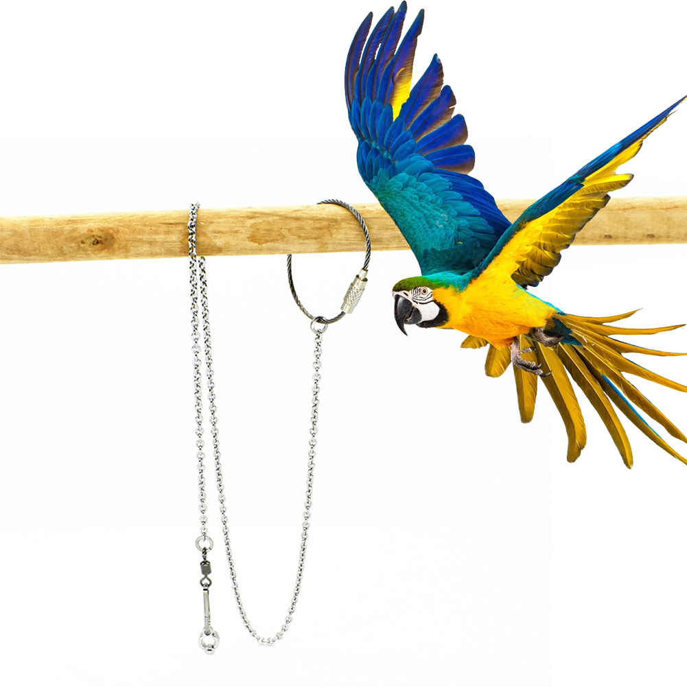 1Pcs Pet Parrot Leg Ring Ankle - огляд і ціна Pet Supplies Ringwood