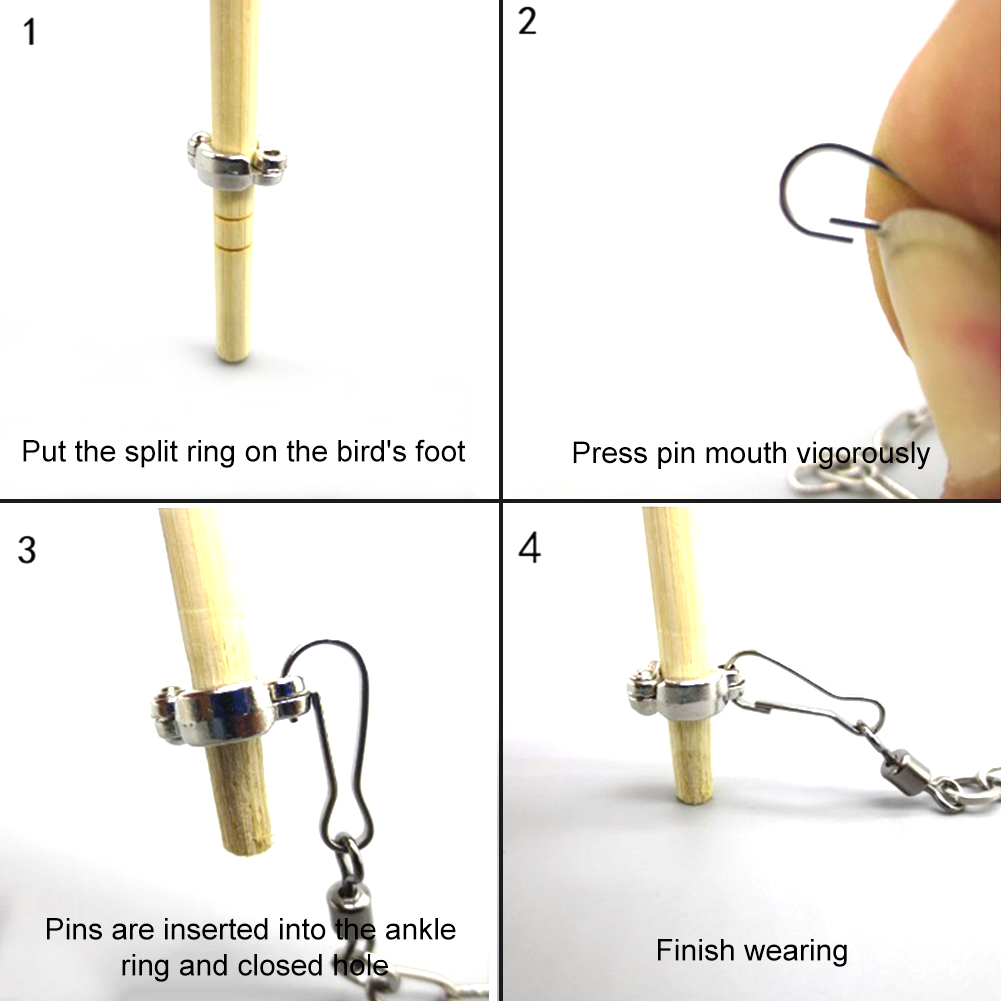 1Pcs Pet Parrot Leg Ring Ankle - огляд і ціна Pet Supplies Ringwood